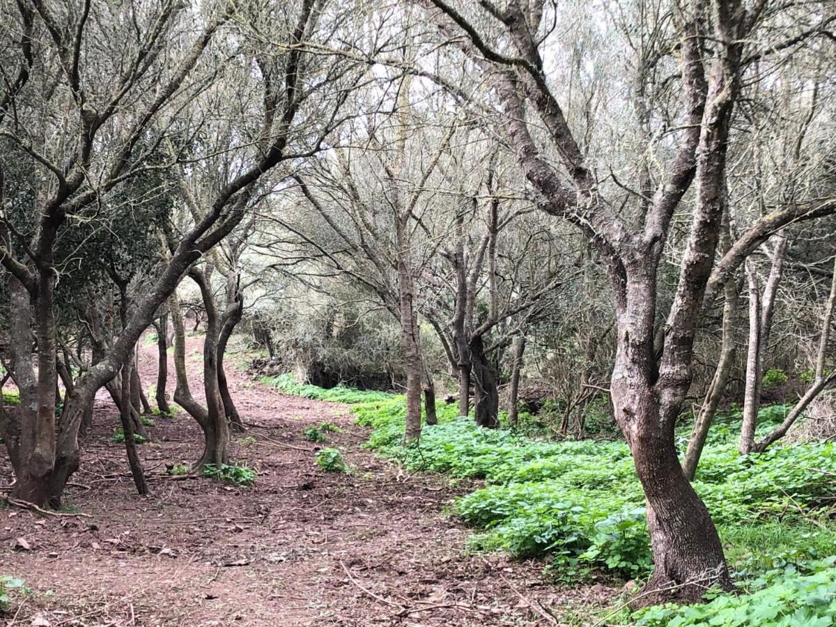 Casa Rural Bini Aumaia Es Mercadal Exteriér fotografie