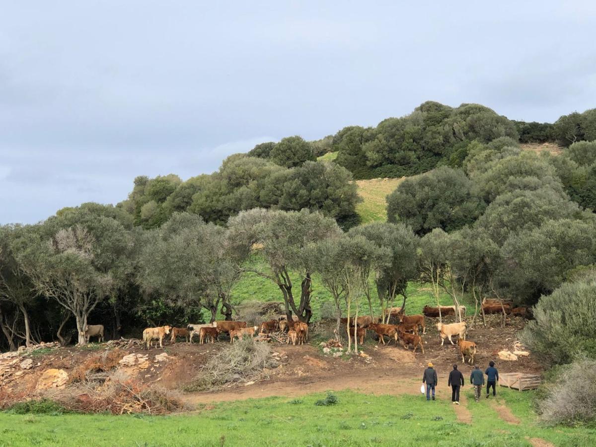 Casa Rural Bini Aumaia Es Mercadal Exteriér fotografie