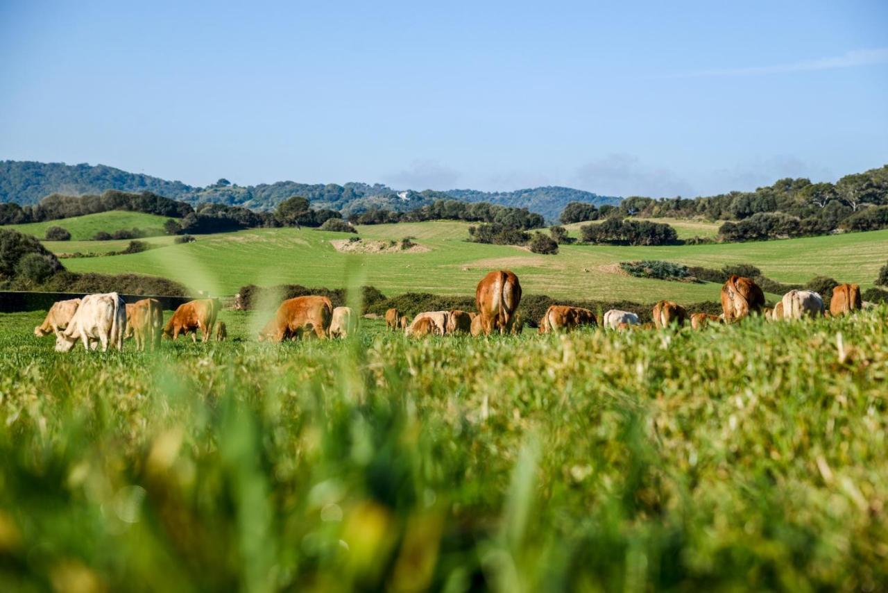 Casa Rural Bini Aumaia Es Mercadal Exteriér fotografie