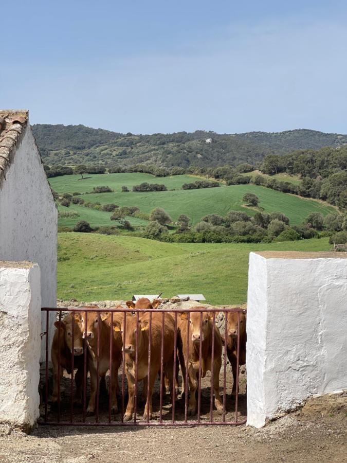 Casa Rural Bini Aumaia Es Mercadal Exteriér fotografie